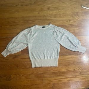 The is a sparkly blouse. Only worn one time.